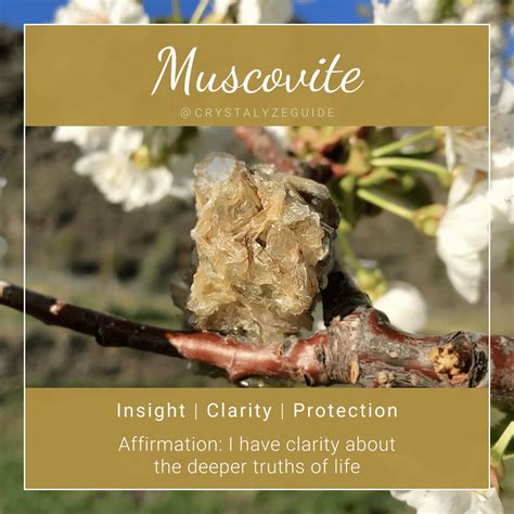 muscovites meaning|Muscovite Meaning, Properties & Chakras .